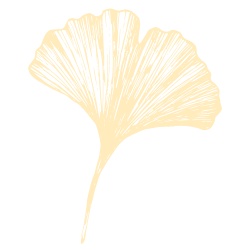 Ginko Blatt